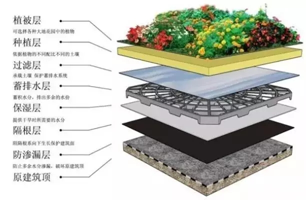 16屋頂花園構造.webp.jpg